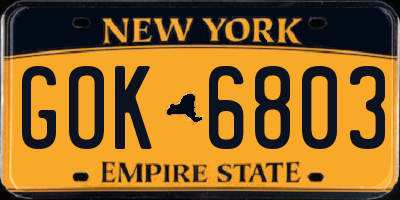 NY license plate GOK6803