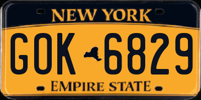NY license plate GOK6829