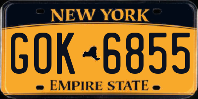 NY license plate GOK6855