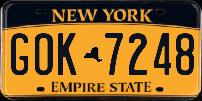 NY license plate GOK7248