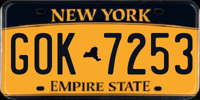NY license plate GOK7253