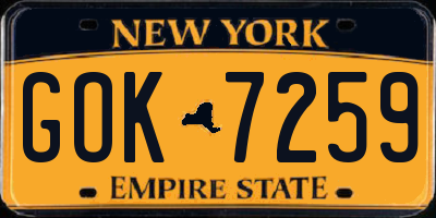 NY license plate GOK7259