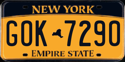NY license plate GOK7290