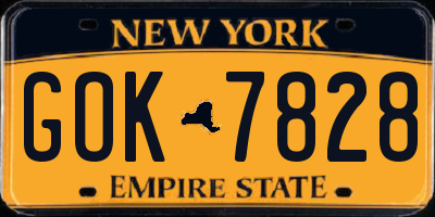 NY license plate GOK7828