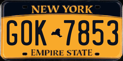 NY license plate GOK7853
