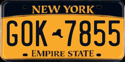 NY license plate GOK7855