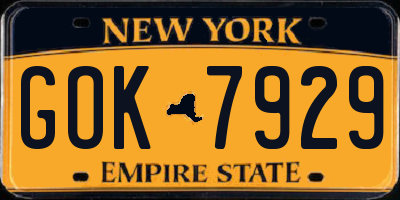 NY license plate GOK7929