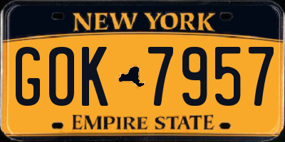 NY license plate GOK7957