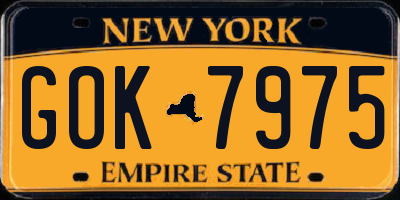 NY license plate GOK7975