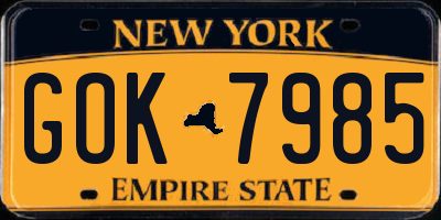 NY license plate GOK7985