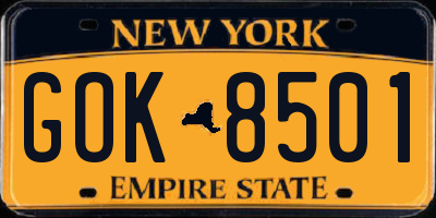 NY license plate GOK8501
