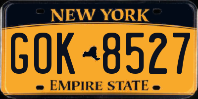 NY license plate GOK8527