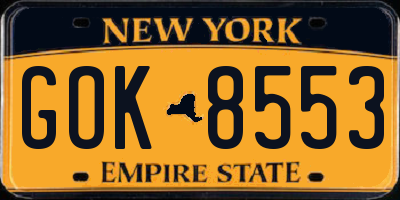NY license plate GOK8553