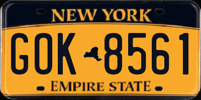 NY license plate GOK8561
