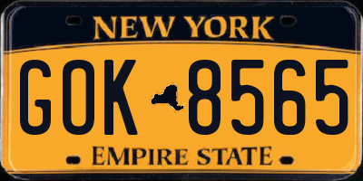 NY license plate GOK8565