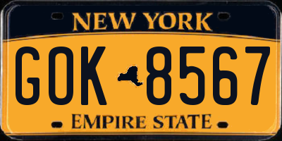 NY license plate GOK8567