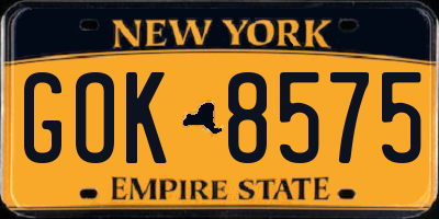 NY license plate GOK8575