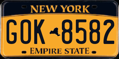 NY license plate GOK8582