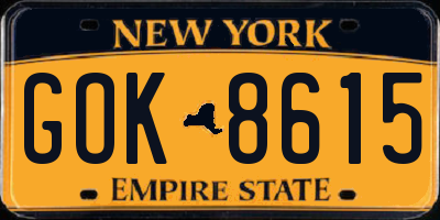 NY license plate GOK8615