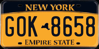 NY license plate GOK8658