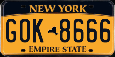 NY license plate GOK8666