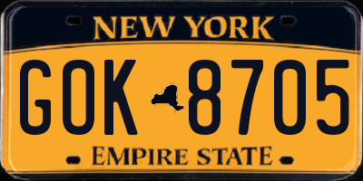 NY license plate GOK8705