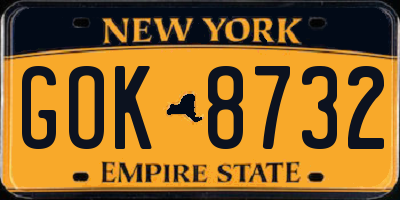NY license plate GOK8732