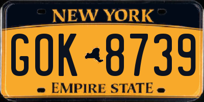 NY license plate GOK8739