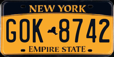 NY license plate GOK8742