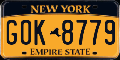 NY license plate GOK8779
