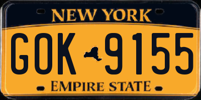 NY license plate GOK9155