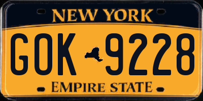 NY license plate GOK9228
