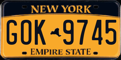 NY license plate GOK9745