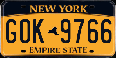 NY license plate GOK9766