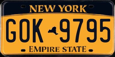 NY license plate GOK9795