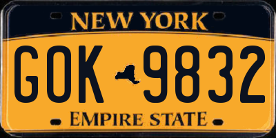 NY license plate GOK9832