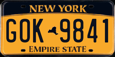 NY license plate GOK9841