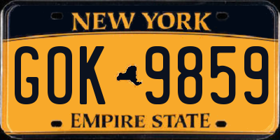NY license plate GOK9859