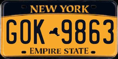 NY license plate GOK9863