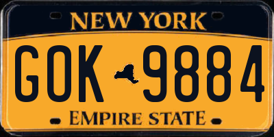 NY license plate GOK9884
