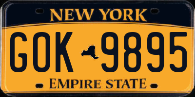 NY license plate GOK9895