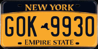 NY license plate GOK9930