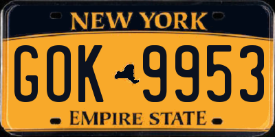 NY license plate GOK9953