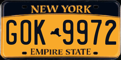 NY license plate GOK9972