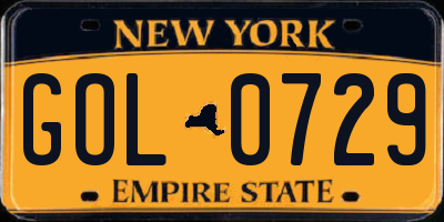 NY license plate GOL0729