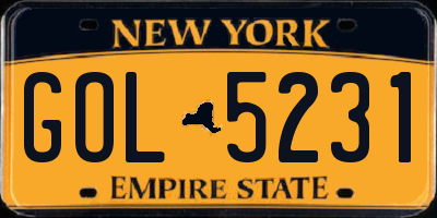 NY license plate GOL5231
