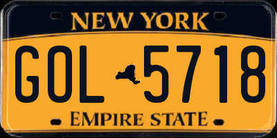 NY license plate GOL5718