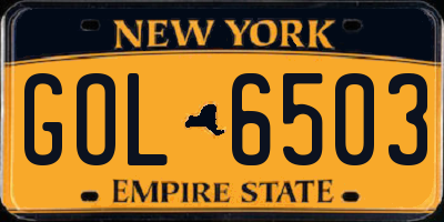 NY license plate GOL6503