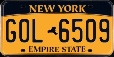 NY license plate GOL6509