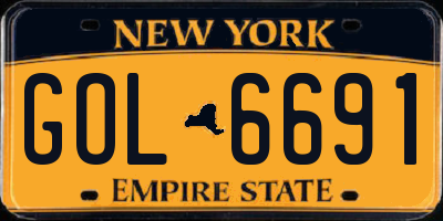 NY license plate GOL6691
